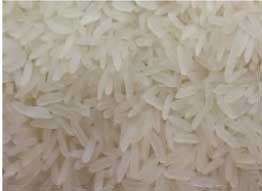 Manufacturers Exporters and Wholesale Suppliers of Pr 11 Sela Rice Nagpur Maharashtra